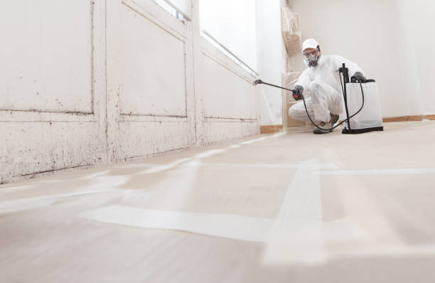 Post-remediation clearance in Naples